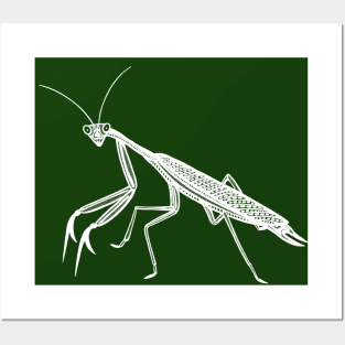 Praying Mantis Ink Art - cool detailed insect design Posters and Art